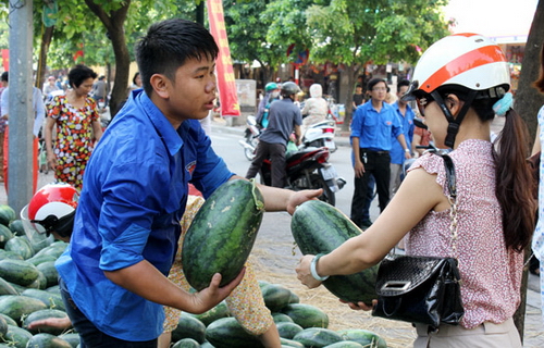 Thanh niên tình nguyện bán đưa giúp đỡ người nông dân Quảng Ngãi